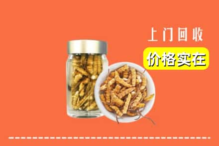 收购资讯:遂宁回收散虫草