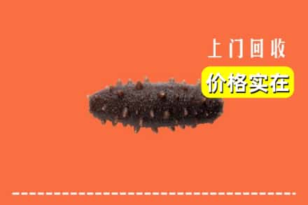 收购资讯:遂宁回收海参